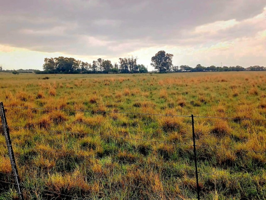 3 Bedroom Property for Sale in Bloemfontein Rural Free State